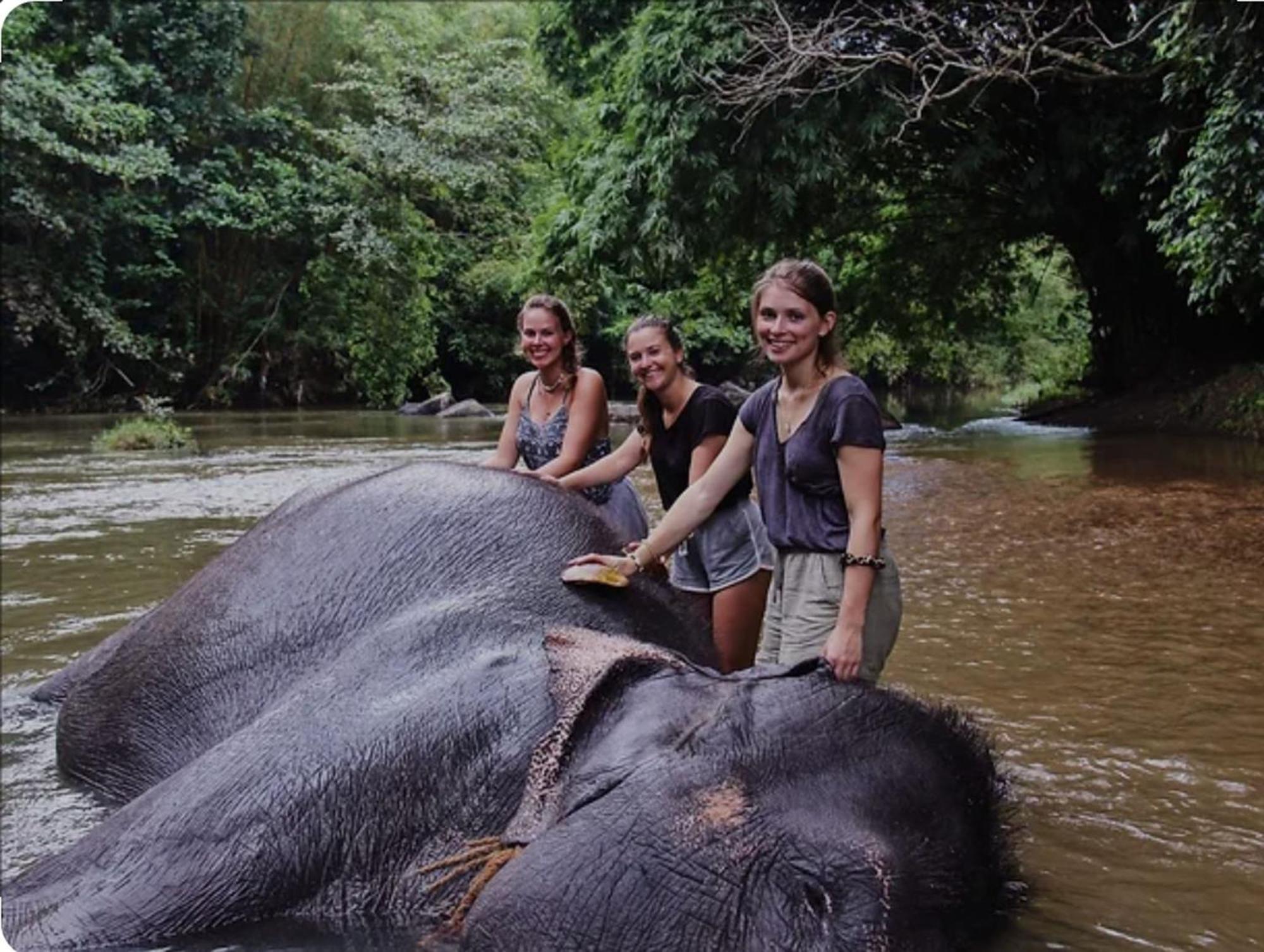 Big House Udawalawe Bed & Breakfast ภายนอก รูปภาพ